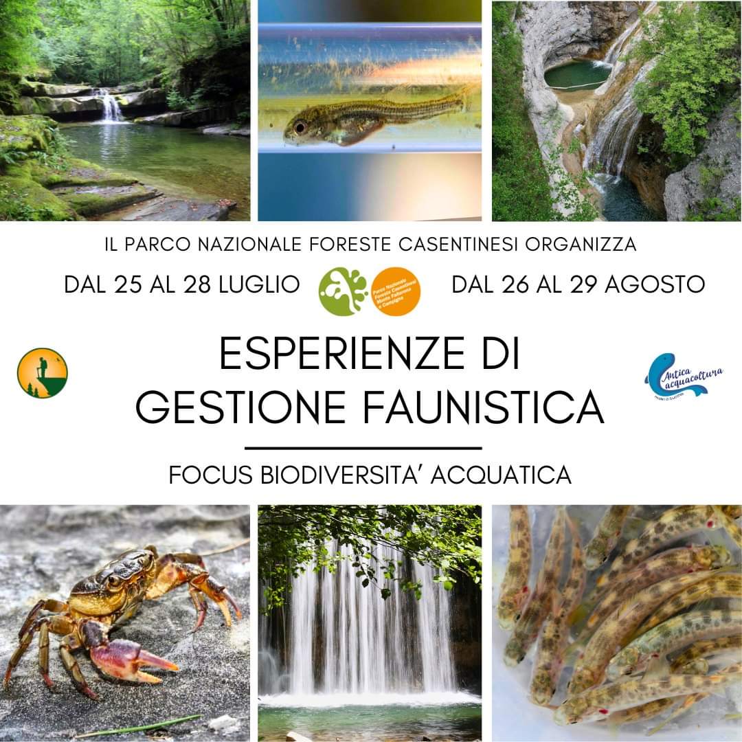 Esperienze di Gestione Faunistica - focus biodiversità acquatica
