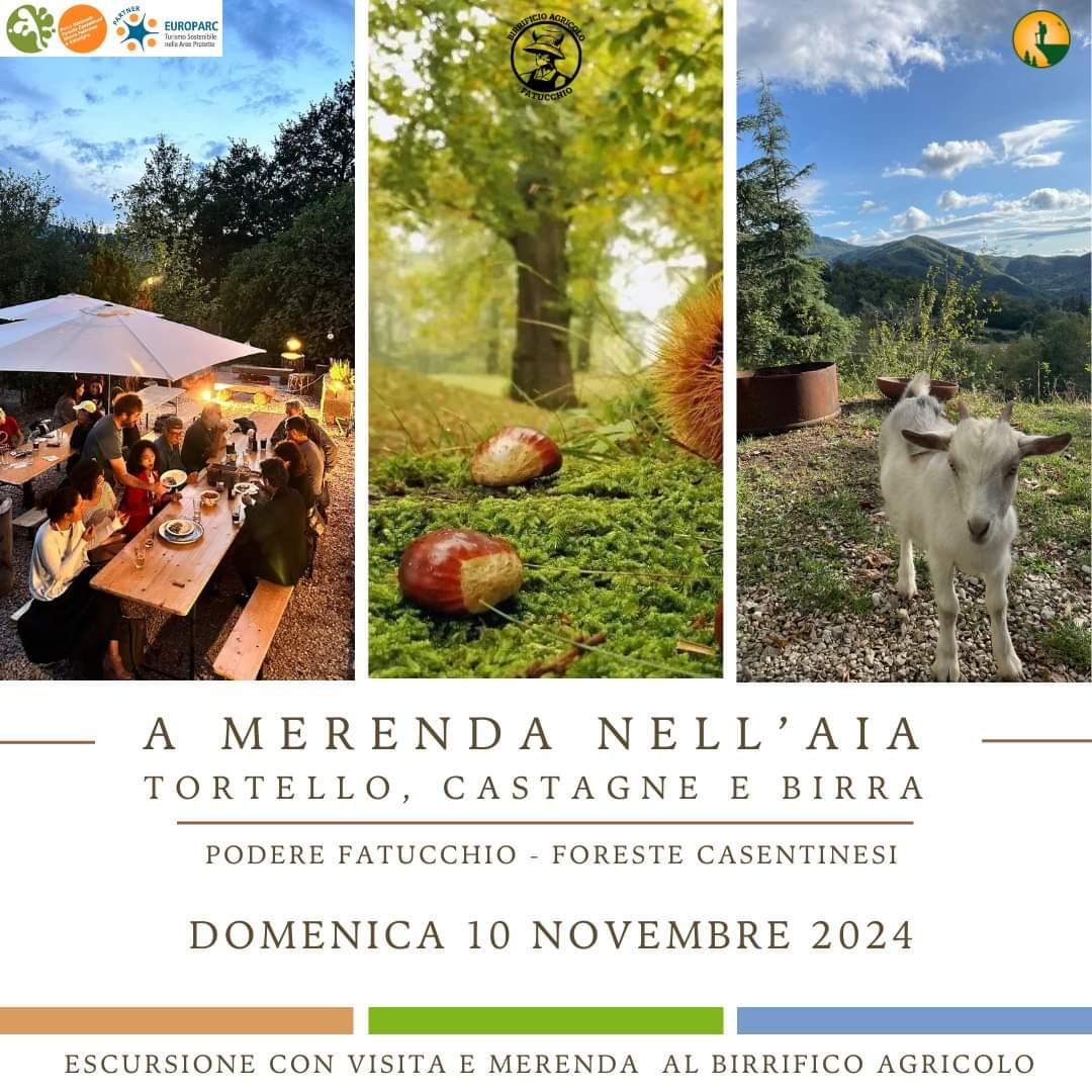 10 Novembre - a Merenda nell'Aia in Vallesanta - Tortello, Castagne e Birra Agricola al tramonto