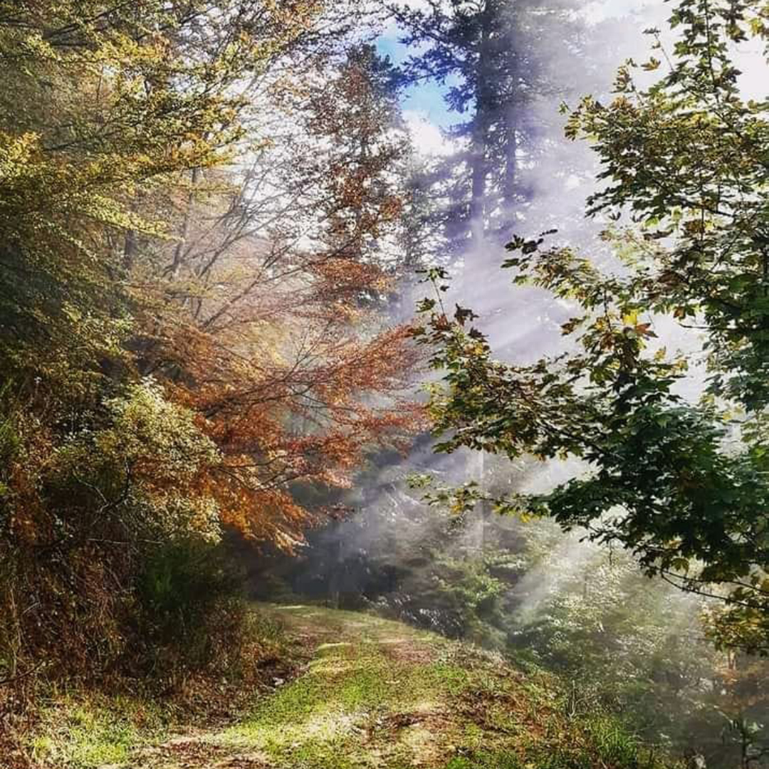 3 Novembre - Autunno alla Lama