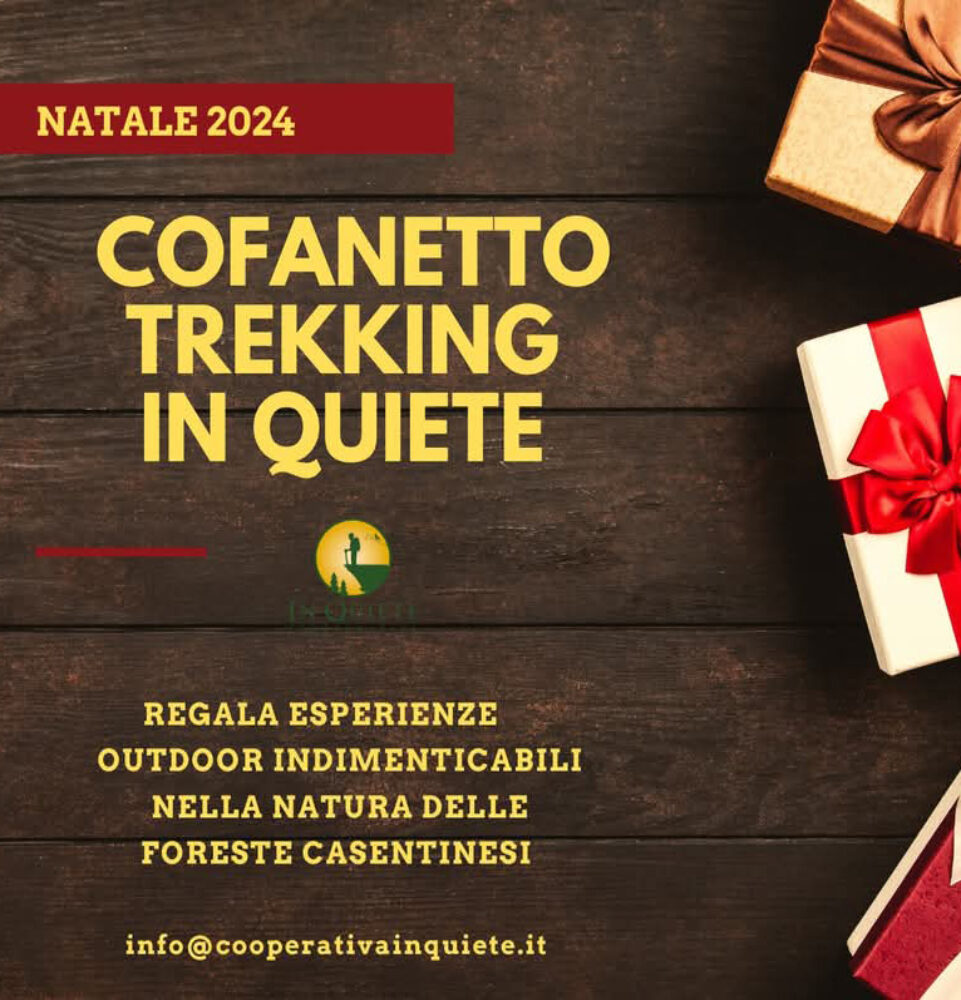 natale-in-quiete-casentino-cofanetto