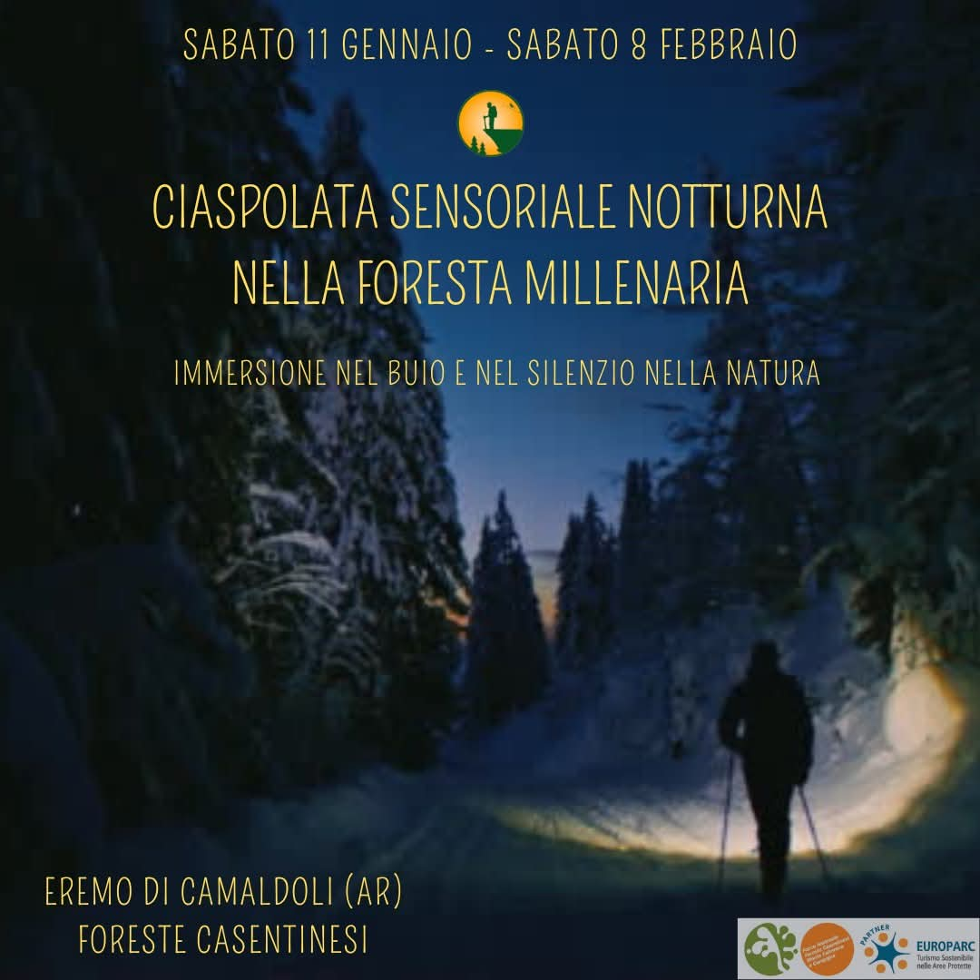 11 Gennaio - Ciaspolata Sensoriale Notturna nella Foresta Millenaria