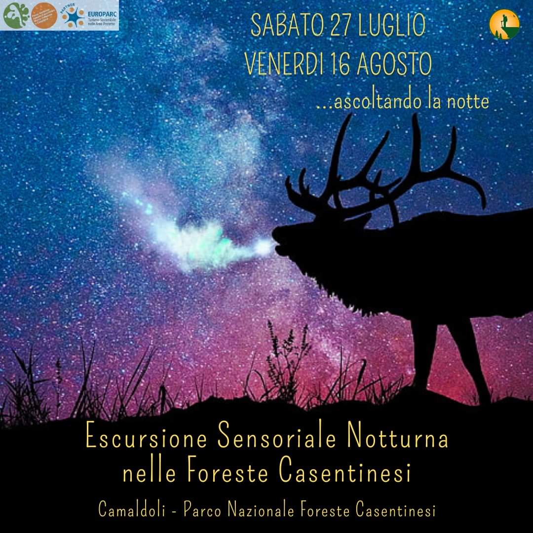 16 Agosto - Esperienza Sensoriale Notturna nel Parco delle Foreste Casentinesi