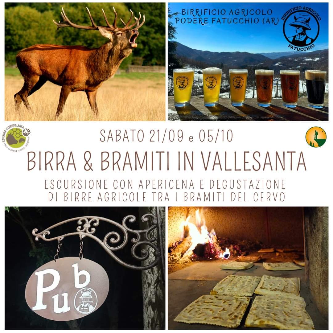 5 Ottobre - Birra e Bramiti in Vallesanta