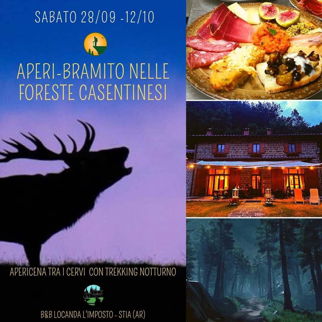 12 Ottobre - Aperi-Bramito nelle Foreste Casentinesi