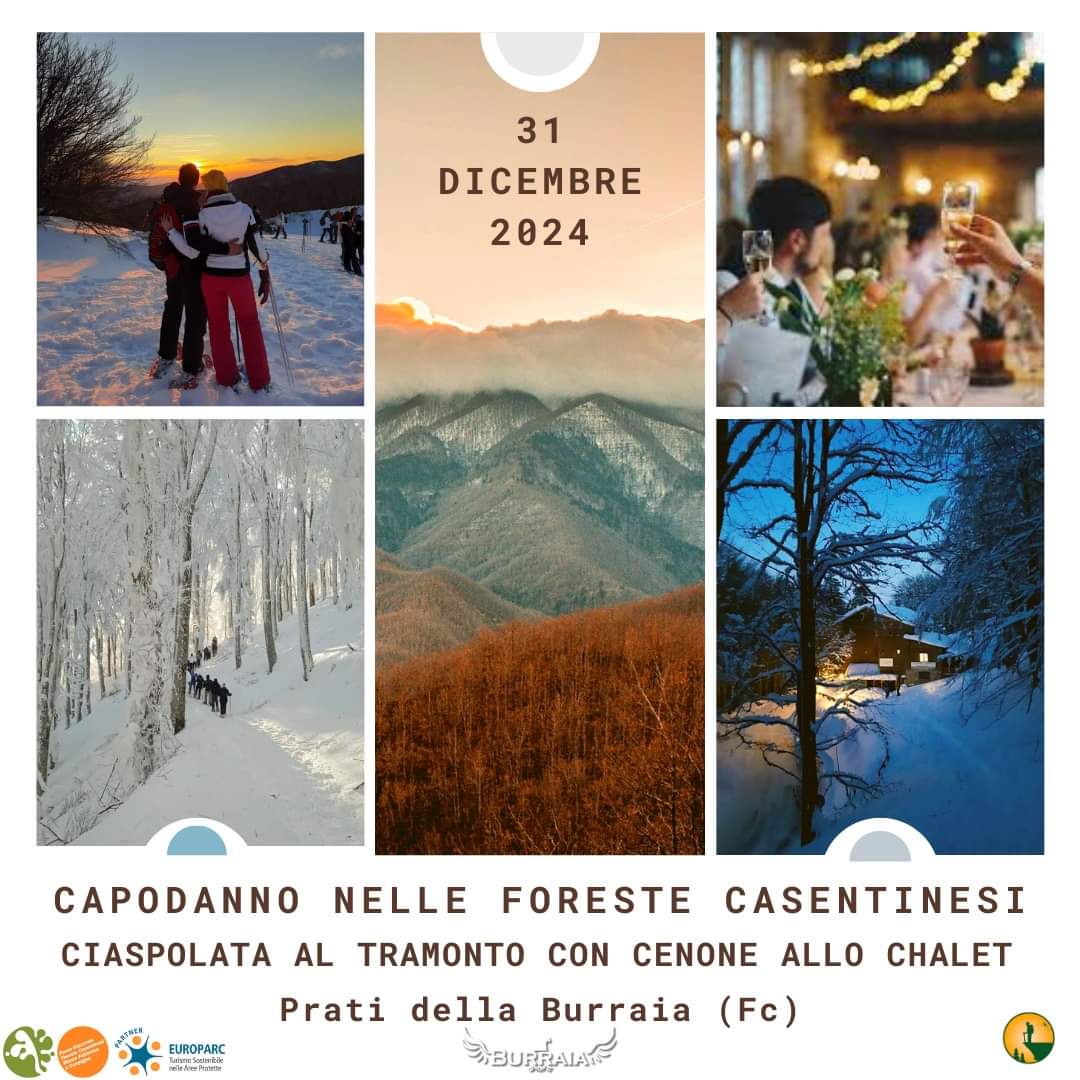 31 Dicembre - Capodanno nelle Foreste Casentinesi