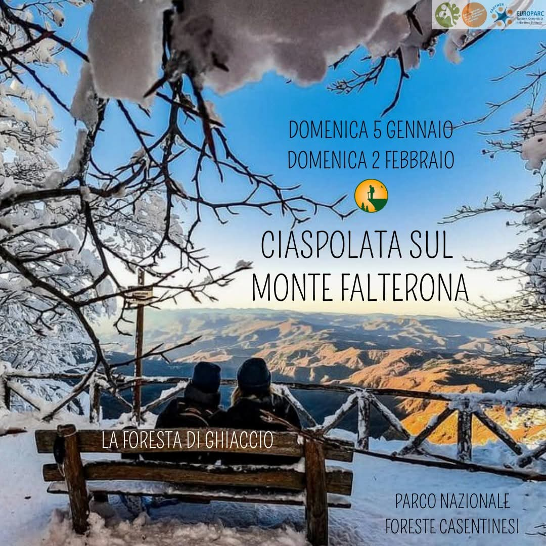 5 Gennaio - Ciaspolata sul Monte Falterona